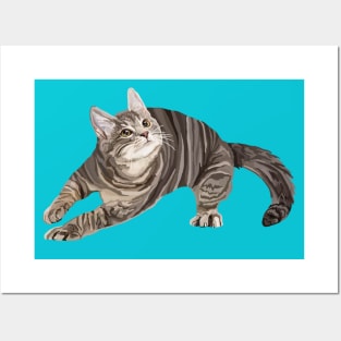 Zooming Tabby Kitten Posters and Art